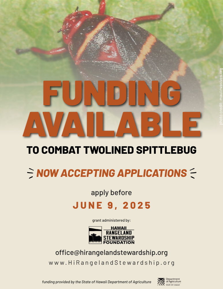 TLSB Funding 1 TLSB Funding 1